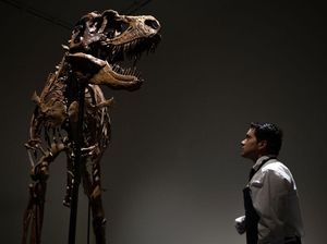 Dahsyatnya Hantaman Asteroid Bikin Dinosaurus Punah, Seberapa Besar Ukurannya?