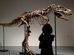 Mengapa Hewan Purba Berukuran Lebih Besar?