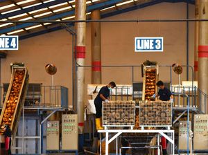 Perdagangan Internasional: Pengertian, Manfaat, dan Faktor Pendorong