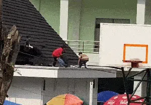 Viral 76 Burung Dilepas Polisi Malah Ditangkapi Warga Sukabumi Viral 76 Burung Dilepas Polisi Malah Ditangkapi Warga Sukabumi