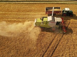 Harga Mi Instan Naik Gara-gara Gandum, RI Impor dari Mana Saja?