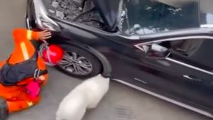 7 Foto Anjing Olaf Bantu Damkar Selamatkan Kucing dari Mobil