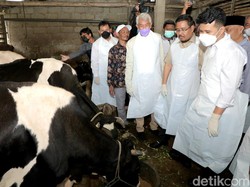 Kasus PMK di Jatim Tembus 150 Ribu, Vaksinasi Ternak Terus Digencarkan