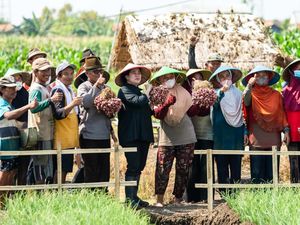 Momen Puan Tanam Bawang Bersama Petani Brebes