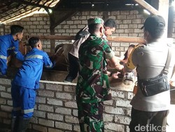 Lamongan Dapat Tambahan 2 Ribu Vaksin PMK