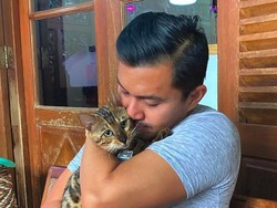 Anjasmara Bikin Sayembara, Kucing Kesayangan Seharga Puluhan Juta Hilang