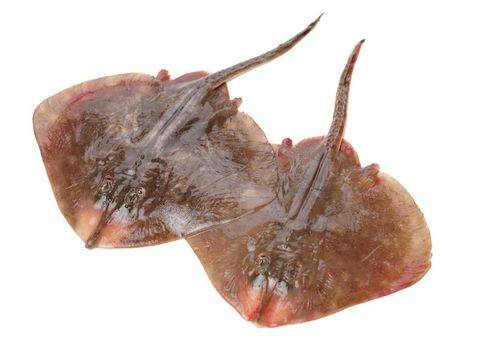 Ikan pari segar untuk ikan pari kuah kuning