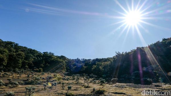 Indahnya Lembah Mandalawangi Bogor, Spot Favorit Soe Hok Gie