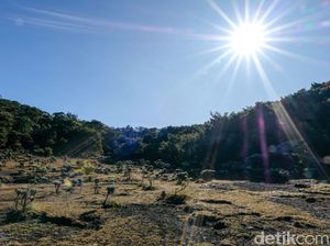 Indahnya Lembah Mandalawangi Bogor, Spot Favorit Soe Hok Gie