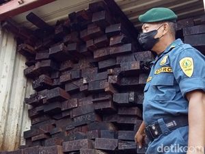 KLHK Sulawesi Ungkap Peredaran Kayu Merbau Ilegal Rp 10 M KLHK Sulawesi Ungkap Peredaran Kayu Merbau Ilegal Rp 10 M