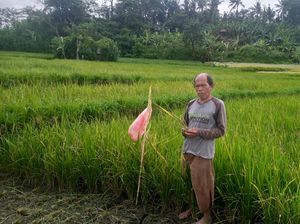 Waspadai Dampak Perubahan Iklim, Ini Pesan Kepala BMKG ke Petani Waspadai Dampak Perubahan Iklim, Ini Pesan Kepala BMKG ke Petani