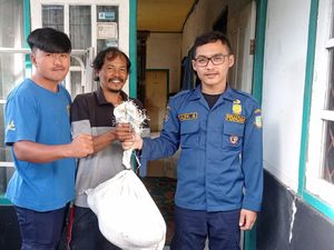 Hii..! Ada Ular Sanca Sembunyi di Atap Rumah Warga di Sukabumi