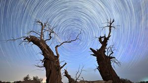 Perpaduan Long Exposure dan Siluet yang Bikin Terperangah