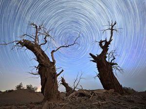 Perpaduan Long Exposure dan Siluet yang Bikin Terperangah