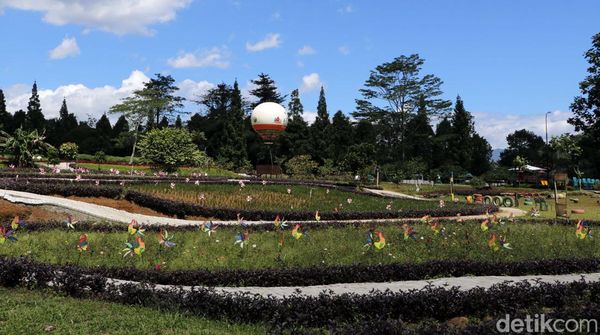 Berlibur Sambil Belajar Aneka Tanaman Buah di Bogor