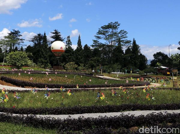 Berlibur Sambil Belajar Aneka Tanaman Buah di Bogor