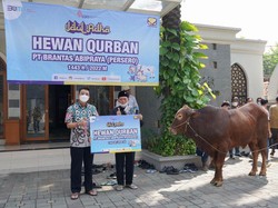 Brantas Abipraya Salurkan 31 Hewan Kurban ke Berbagai Daerah