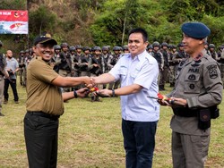 Hore! TNGHS Berhasil Lepaskan 3 Elang Brontok Kembali ke Alam