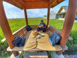 Nikmatnya Makan Liwet Berpemandangan Hamparan Sawah di Bandung