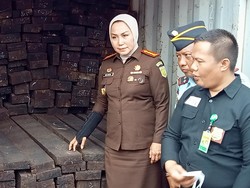 Kayu Merbau Ilegal Asal Papua Ternyata akan Dipakai saat Presidium G20