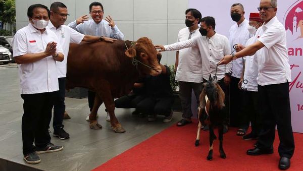 Penyaluran Hewan Kurban Jelang Idul Adha