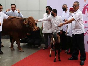 Penyaluran Hewan Kurban Jelang Idul Adha