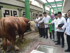 PPP Bagikan Ribuan Kantong Daging Kurban ke Masyarakat Sekitar Kantor DPP