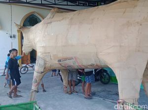 Semarakkan Takbiran, Warga Klaten Bikin Replika Sapi Raksasa dari Sak Semen Semarakkan Takbiran, Warga Klaten Bikin Replika Sapi Raksasa dari Sak Semen