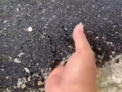 Video Aspal Jalan Mengelupas Disebut Seperti Tepung Diduga di Kudus