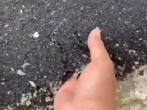 Video Aspal Jalan Mengelupas Disebut Seperti Tepung Diduga di Kudus Video Aspal Jalan Mengelupas Disebut Seperti Tepung Diduga di Kudus