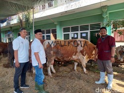 Hewan Kurban yang Dipotong di RPH Surabaya Dijamin Bebas PMK