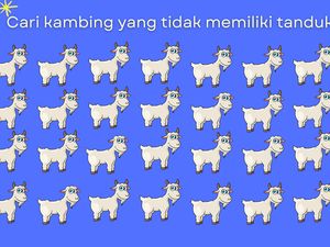 7 Tebak Gambar Ini Easy Banget, Gagal Temukan Perbedaannya? Fix Butuh Kacamata 7 Tebak Gambar Ini Easy Banget, Gagal Temukan Perbedaannya? Fix Butuh Kacamata