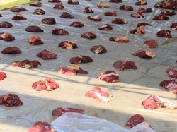 Penting! Begini Ketentuan Pemberian Upah untuk Tukang Jagal Potong Hewan Kurban