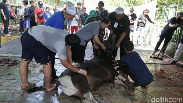 Jemaah Muhammadiyah Tebet Gelar Penyembelihan Hewan Kurban