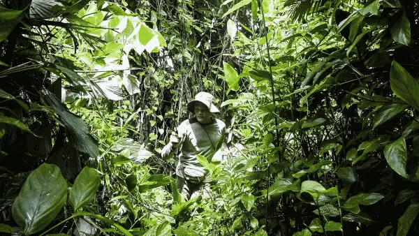 Mengenal Laskar Khusus Penjaga Si Cula Satu di Ujung Kulon