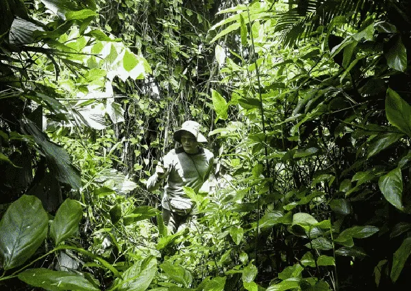 Mengenal Laskar Khusus Penjaga Si Cula Satu di Ujung Kulon