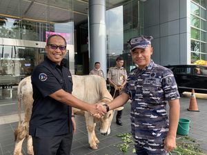 KSAL Beri 1 Ekor Sapi Kurban ke CT ARSA untuk Disalurkan ke Kaum Duafa