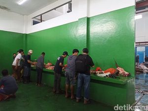 RPH Makassar Layani Penyembelihan Sapi Kurban, Warga Ngaku Lebih Praktis RPH Makassar Layani Penyembelihan Sapi Kurban, Warga Ngaku Lebih Praktis