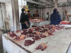 Catat! Mekanisme dan Biaya Potong Hewan Kurban di UPT RPH Denpasar