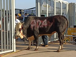 Anies dan Kebetulan 024 yang Terulang