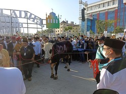 Anies Kurban Sapi 024, Hensat Bicara Kode Alam Pilpres 2024