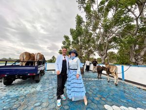 Bella Shofie Kurban 26 Sapi di Pulau Buru