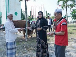Idul Adha 1443 H, Bupati Tulang Bawang Sekeluarga Kurban 1 Ekor Sapi