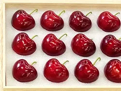 Bikin Melongo! 1 Kotak Buah Ceri Jepang Ini Laku Terjual Rp 66 Juta