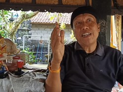 Di Balik Dalang Cenk Blonk Wayan Nardayana, Vulgar-Kontroversi