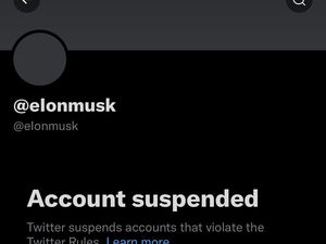 Batal Beli Twitter, Akun Elon Musk Diisukan Kena Blokir