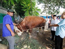 Gereja Katedral Jakarta Sumbang Seekor Sapi Kurban ke Masjid Istiqlal