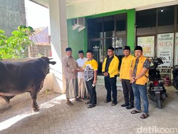 Golkar Jatim Serahkan Hewan Kurban Sapi ke PWNU dan PW Muhammadiyah