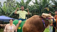 10 Potret Artis Bareng Sapi Limousin untuk Kurban, Raffi Ahmad hingga Fuji