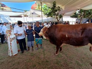 Kumpulan Contoh Proposal Permohonan Hewan Kurban Kumpulan Contoh Proposal Permohonan Hewan Kurban